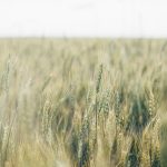 El cambio se nos puede llevar por delante