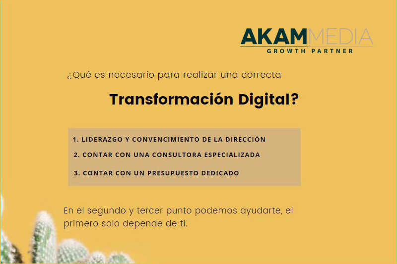 Si buscas una consultora de transformación digital, ya la has encontrado.