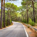 Las 5 fases de la transformación digital